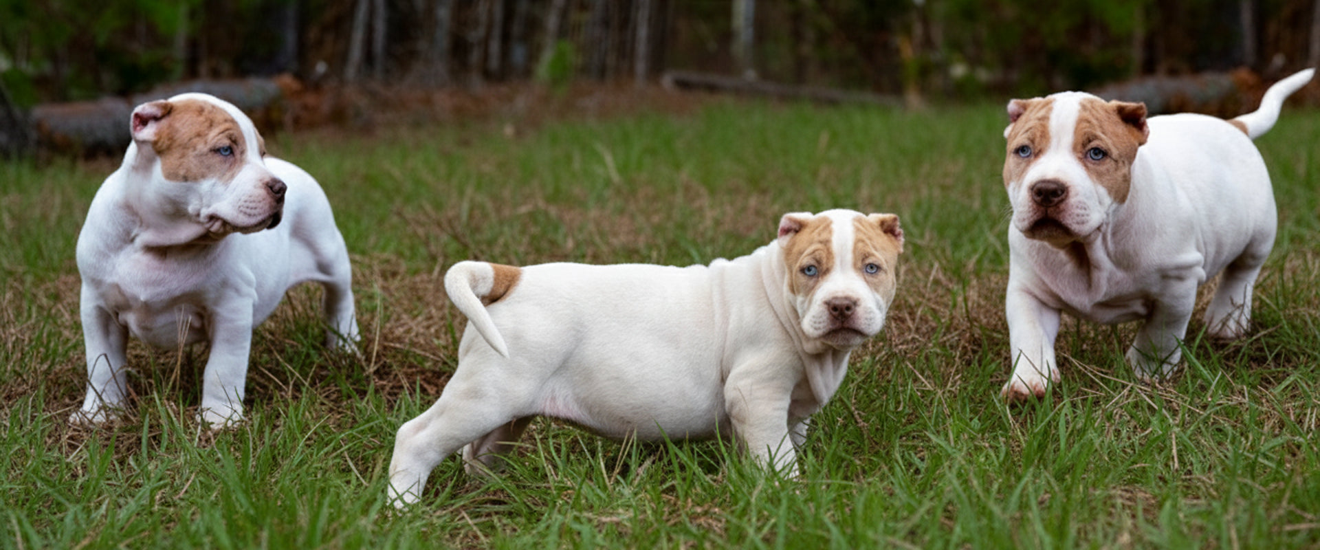 slider image slider_item_Aa7VUG